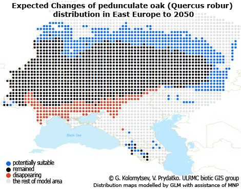 q_robur_changes.gif