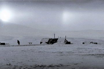 Photo by V.Prydatko-Dolin. Wrangel Island. 1983